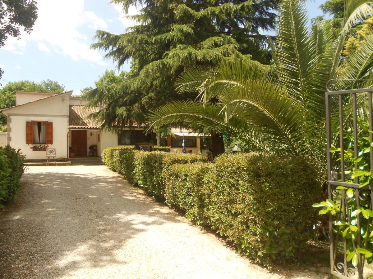 B&B La Quercia Orte Exterior photo